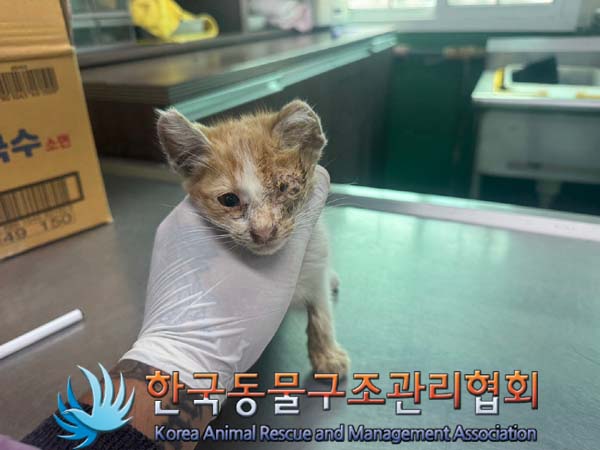 한국동물구조관리협회_441406202401251