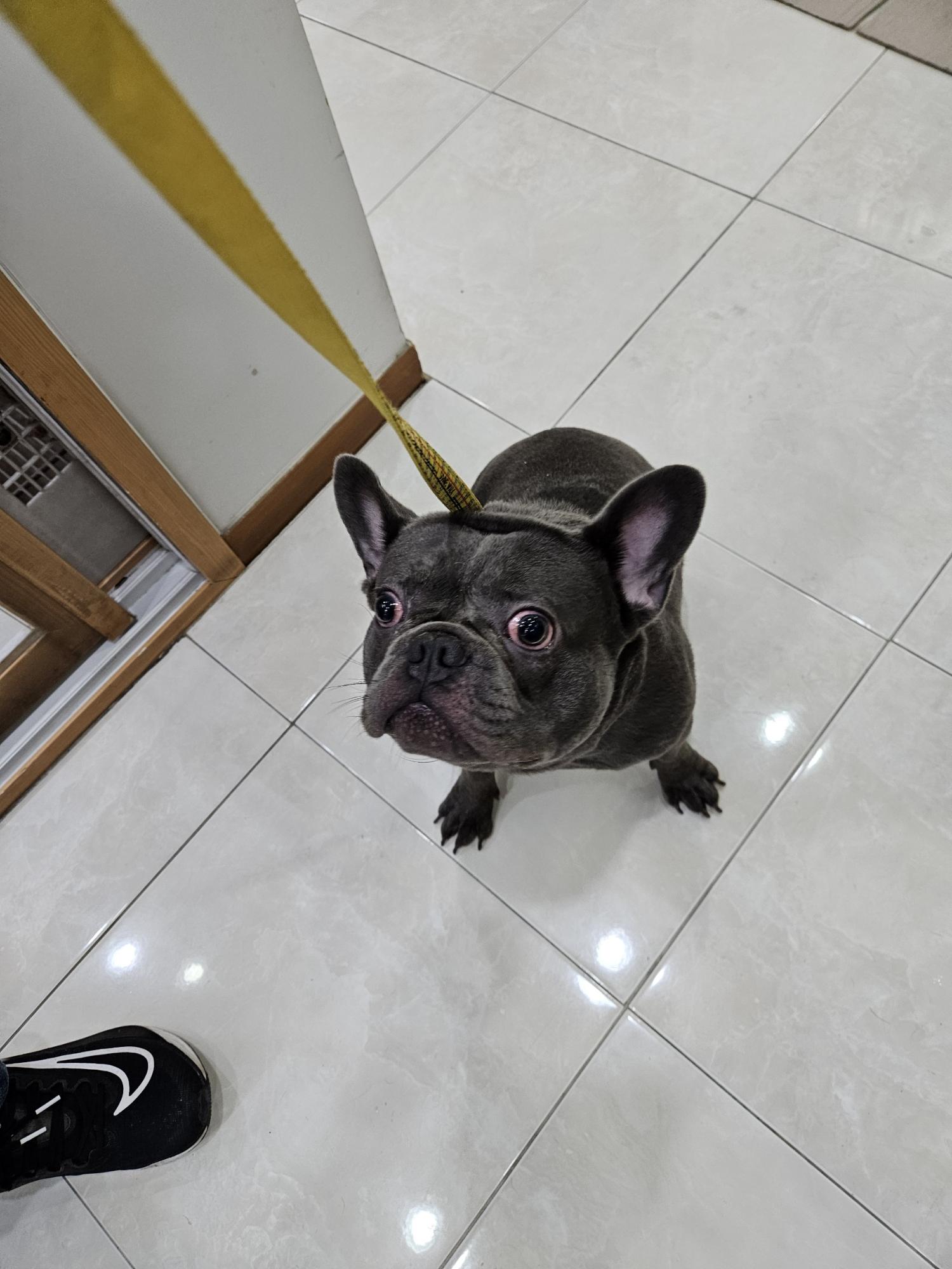 제니스동물병원_427346202400814