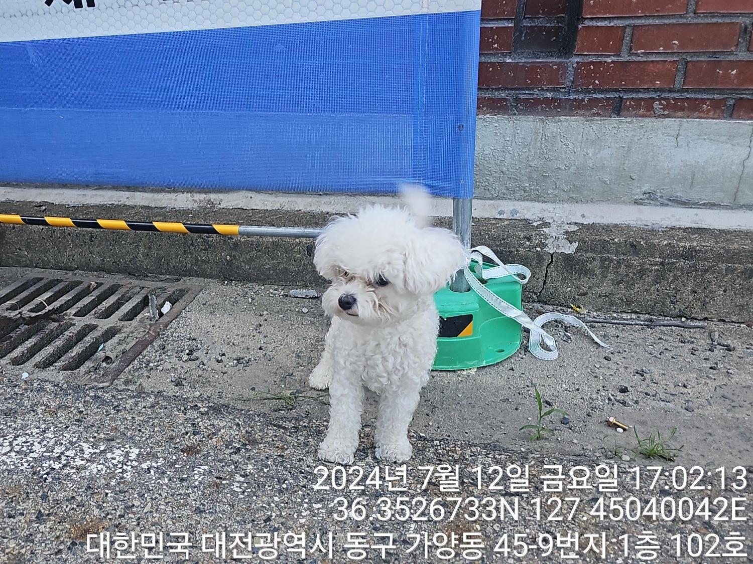 대전동물보호센터_430364202400625