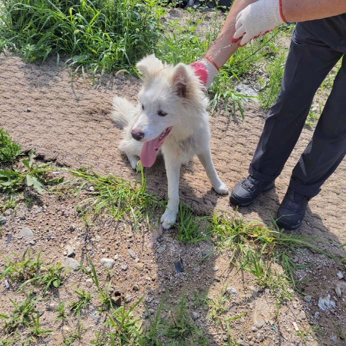 금일동물보호센터_444460202400723