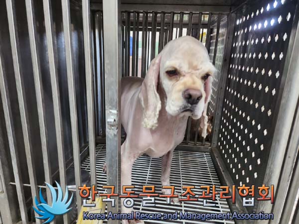 한국동물구조관리협회_411310202400574