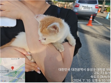 대전동물보호센터_430365202400320