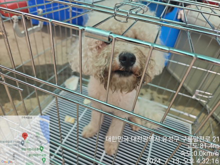 대전동물보호센터_430367202400493