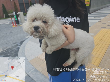 대전동물보호센터_430367202400487