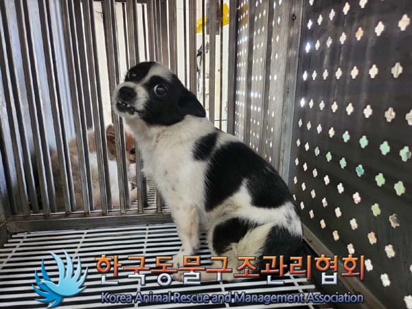 한국동물구조관리협회_411315202400380