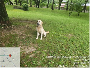 대전동물보호센터_430365202400321