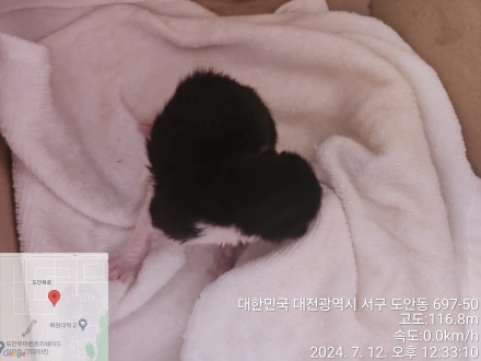 대전동물보호센터_430367202400488