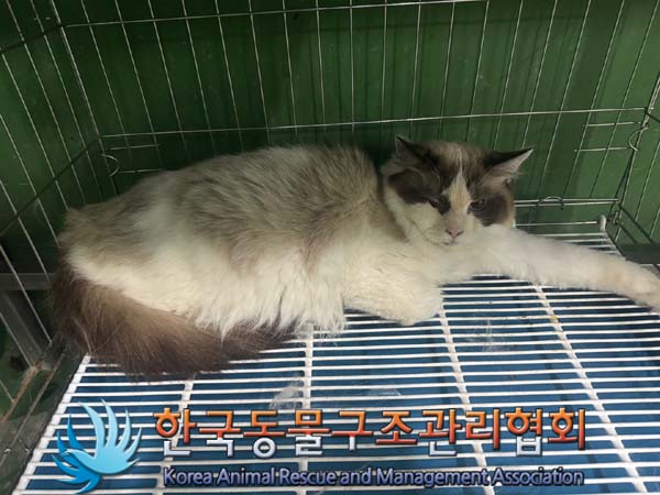 한국동물구조관리협회_441382202400605