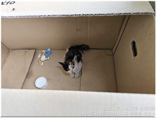 대전동물보호센터_430366202400330
