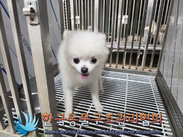한국동물구조관리협회_411317202400239