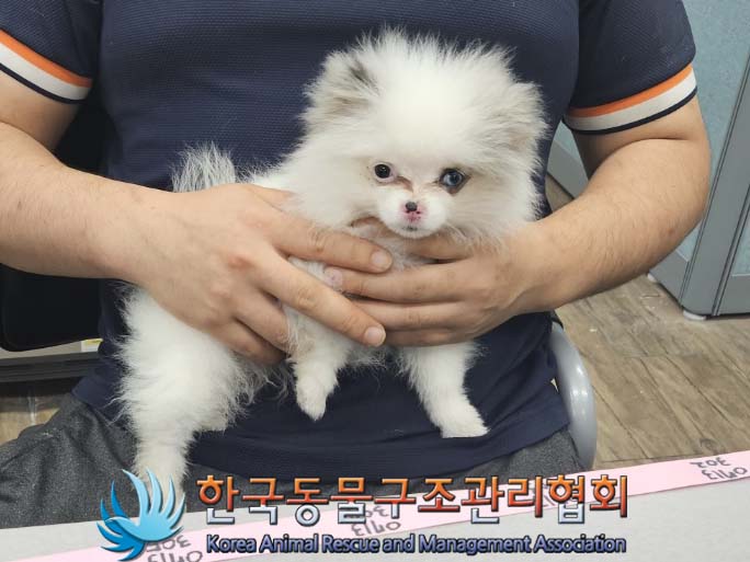 한국동물구조관리협회_441560202400752