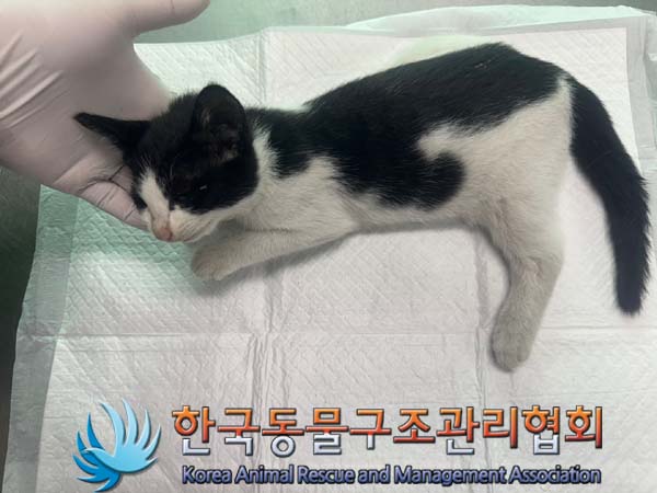 종료(자연사) 한국…