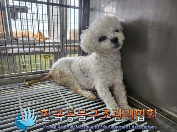 한국동물구조관리협회_441560202400749