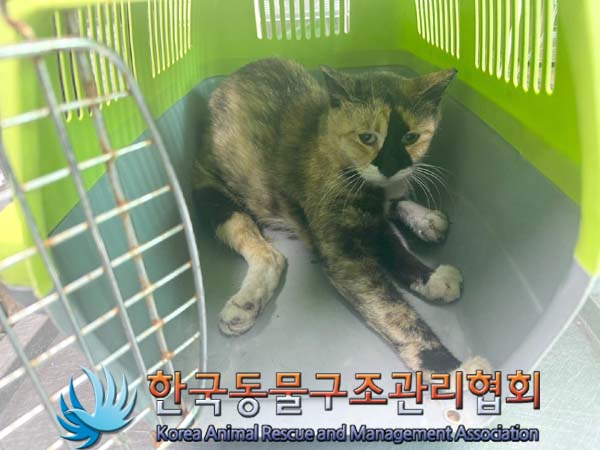 종료(반환) 한국 …