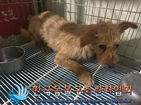 한국동물구조관리협회_441414202400566