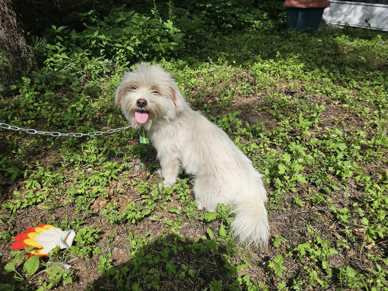 화천군농업기술센터_442431202400172