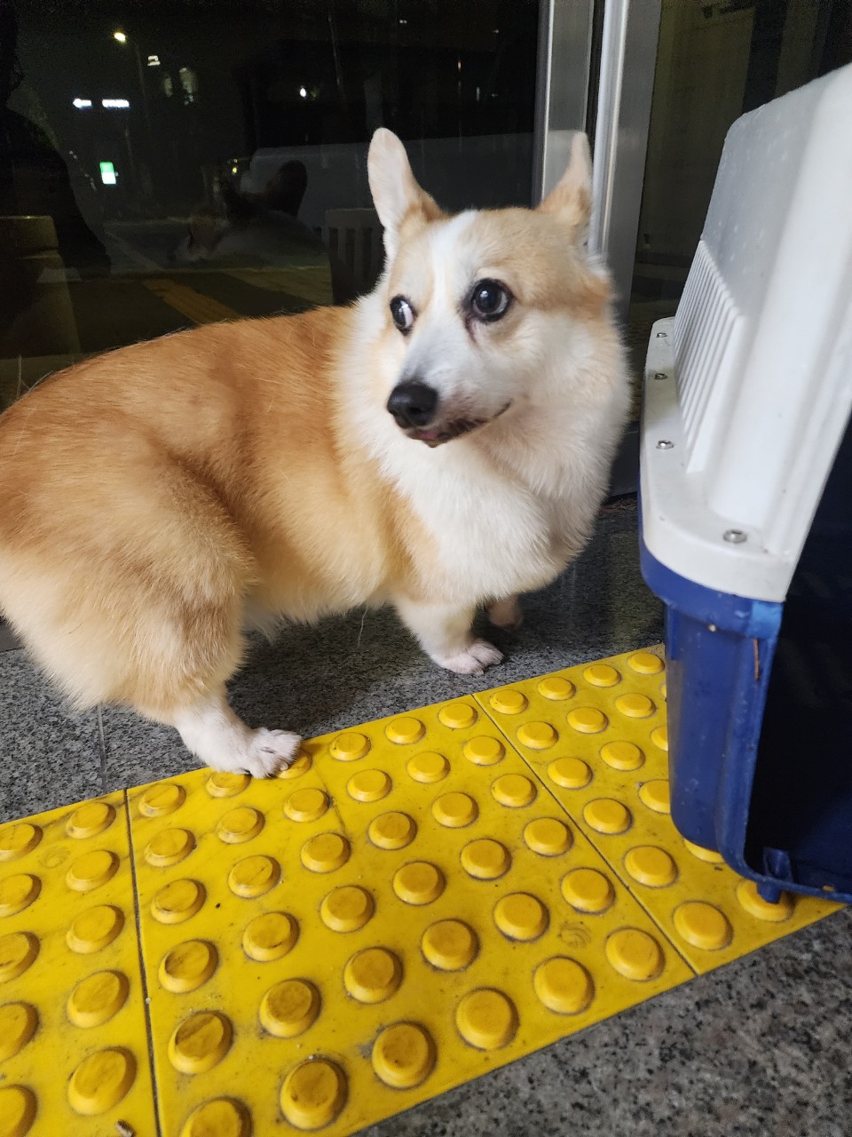 아산동물복지지원센터_444452202401823
