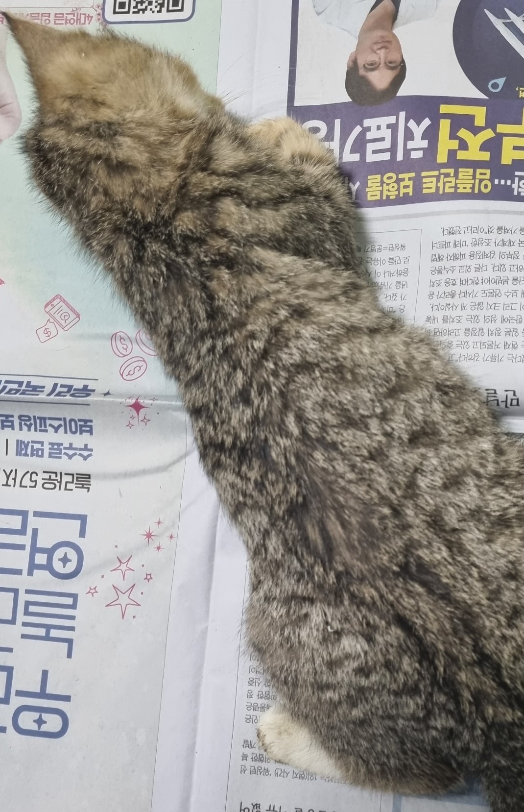 종료(자연사) 한국…