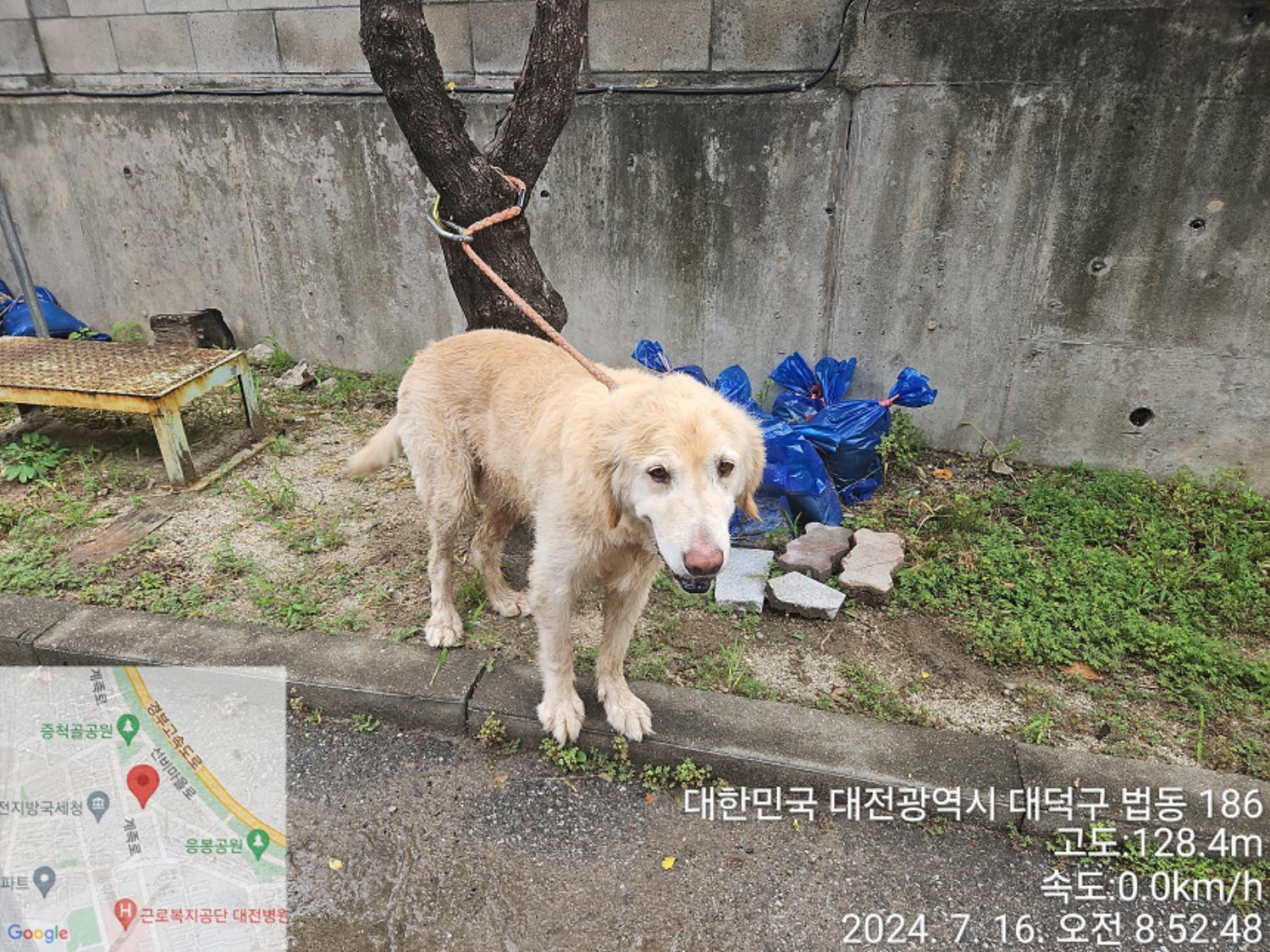 대전동물보호센터_430368202400318