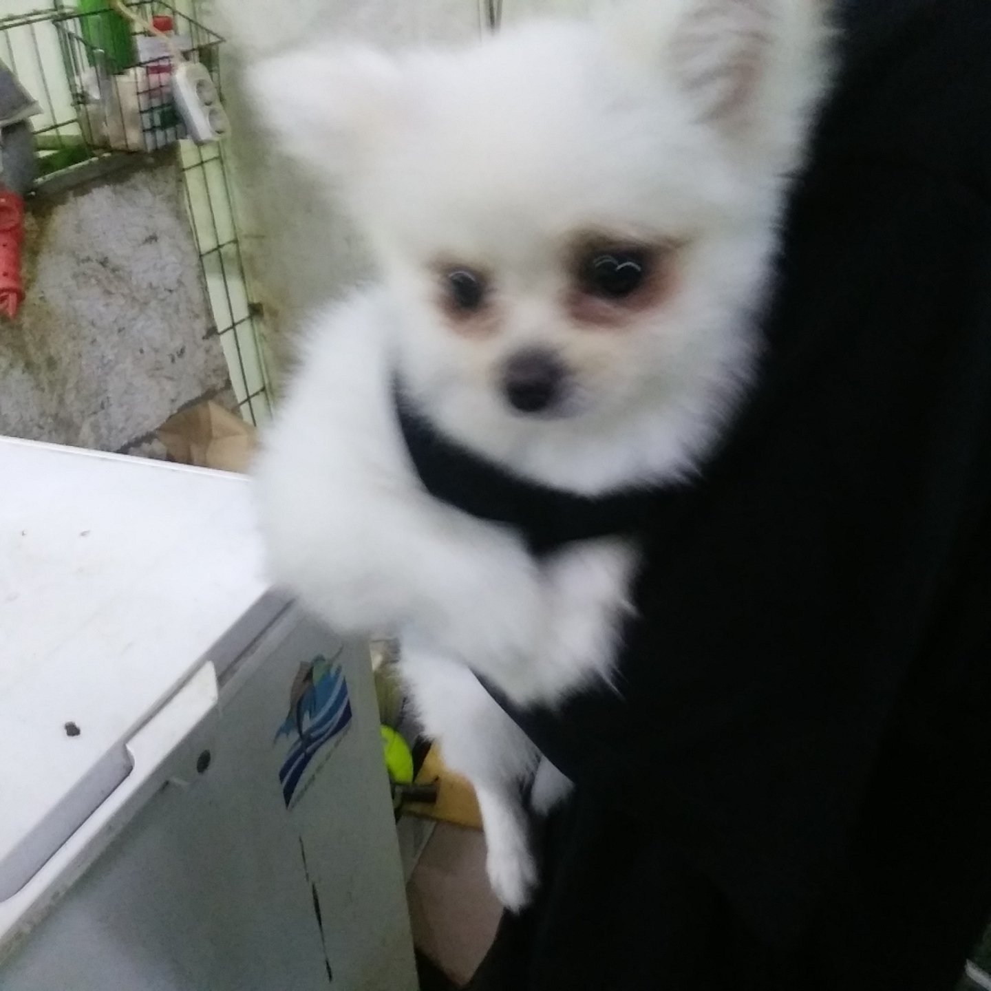 인천광역시수의사회_428353202400696