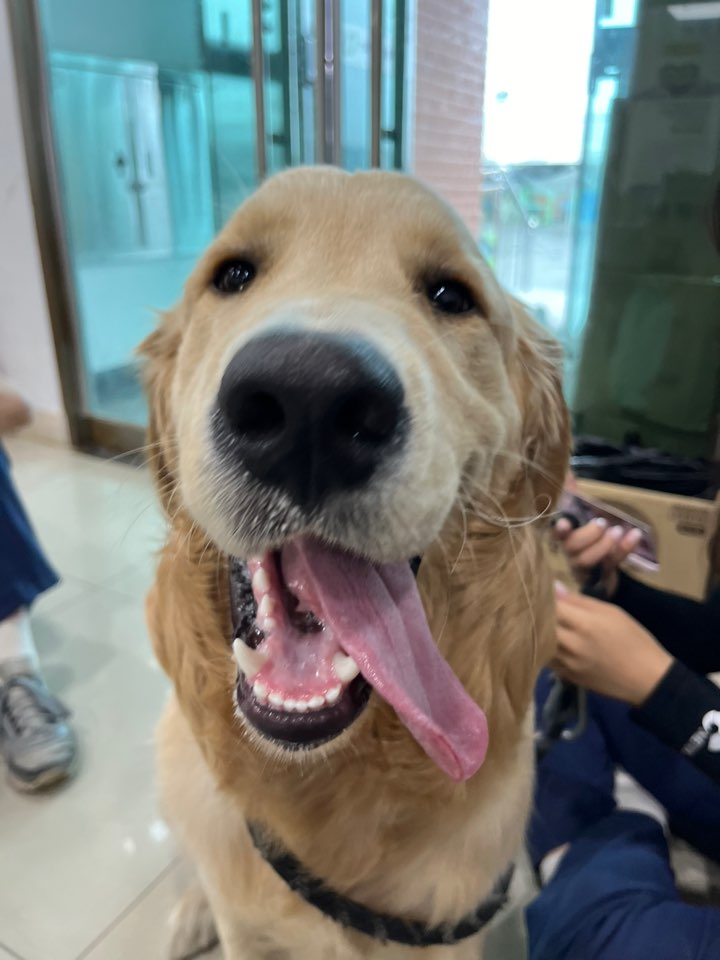 반려동물보호센터_443571202401839