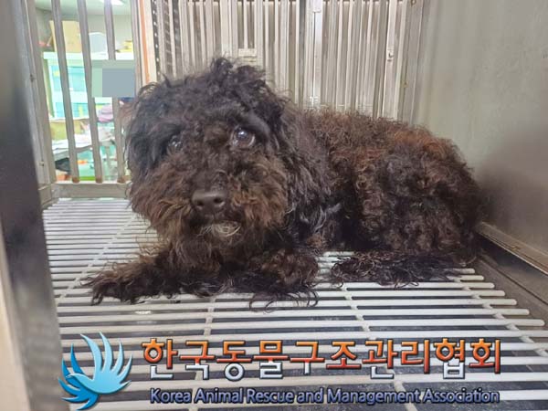 한국동물구조관리협회_411316202400383