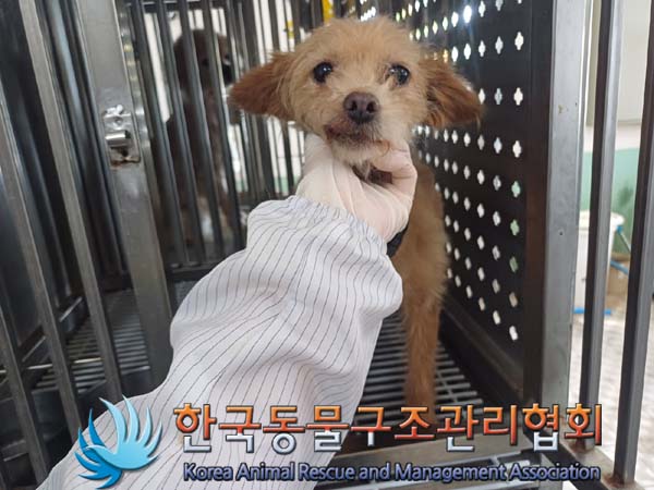 한국동물구조관리협회_441409202401078
