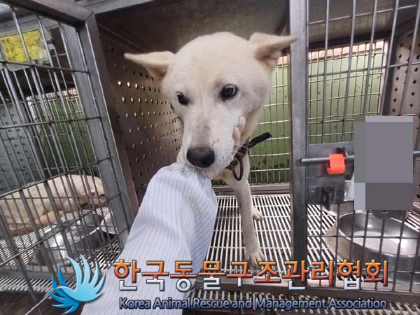한국동물구조관리협회_441409202401079