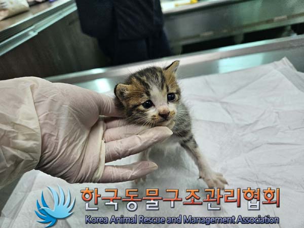 종료(자연사) 한국…