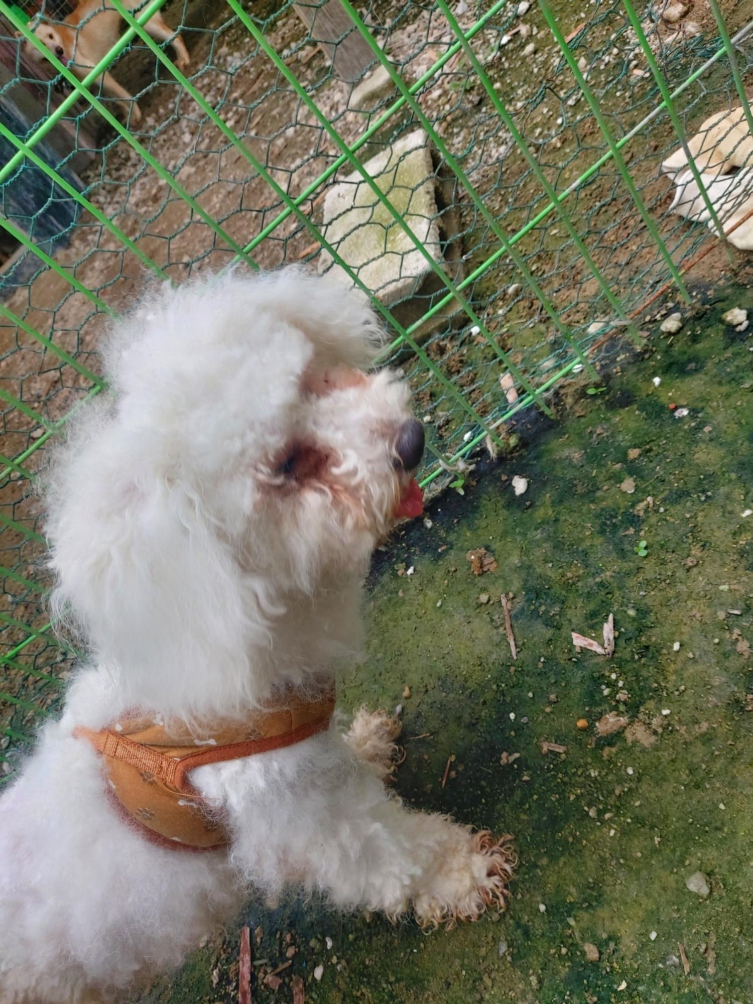 전북말산업복합센터_445471202400535