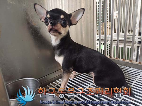 한국동물구조관리협회_411304202400366