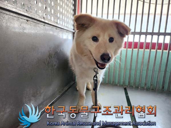 종료(안락사) 믹스…