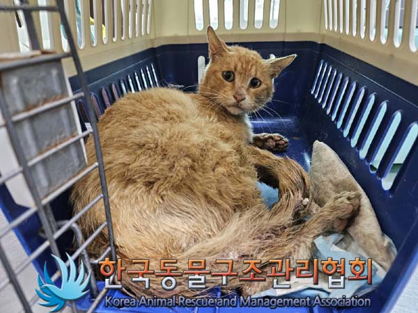종료(자연사) 한국…