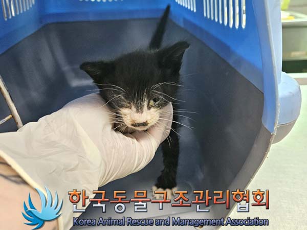 종료(자연사) 한국…