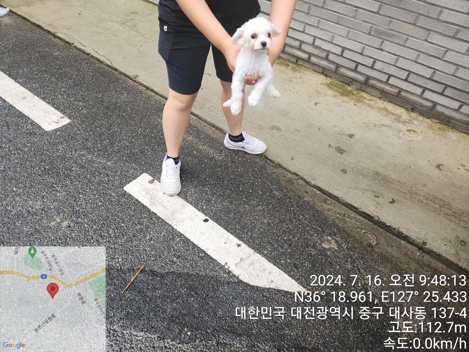 대전동물보호센터_430365202400324