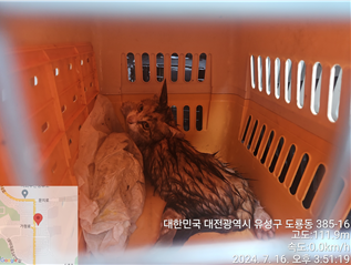 대전동물보호센터_430367202400499