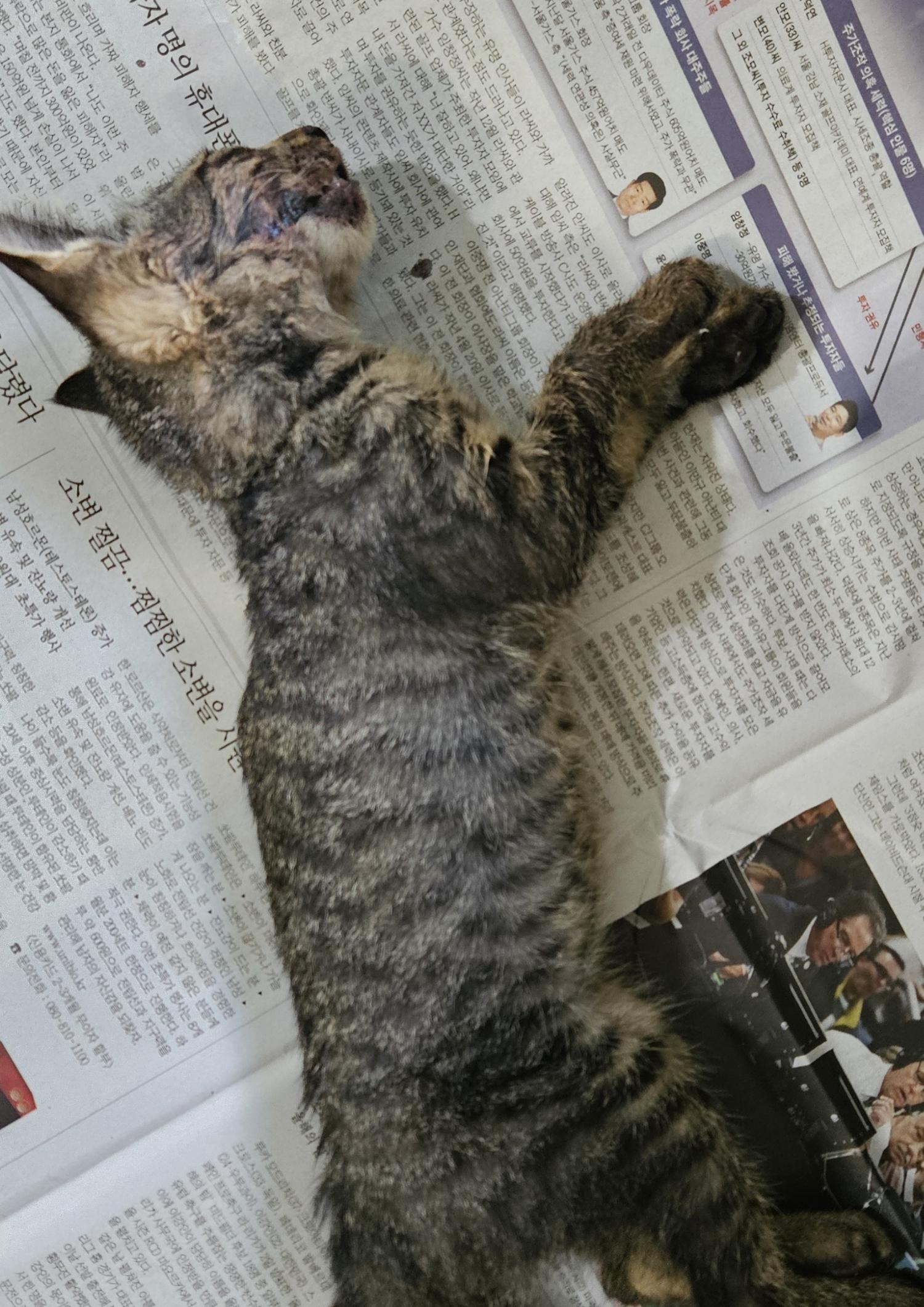 종료(자연사) 한국…
