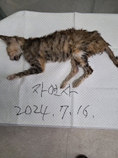 논산시 동물보호센터_444454202400603