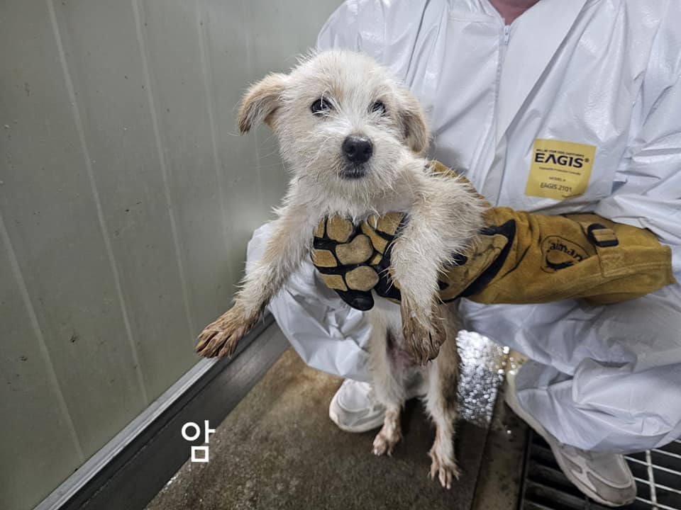 화천군농업기술센터_442431202400173