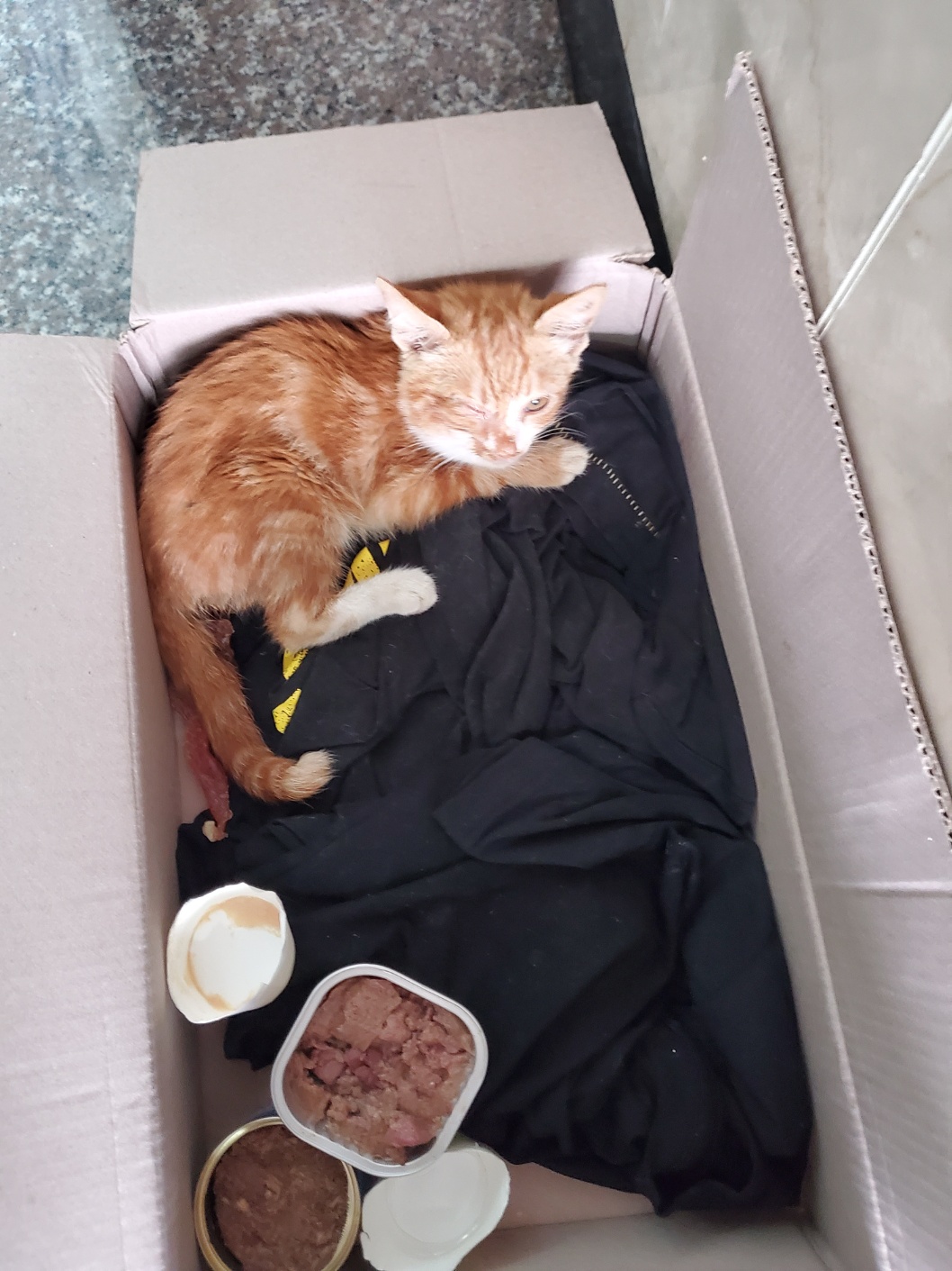 평택시유기동물보호소_441391202401832