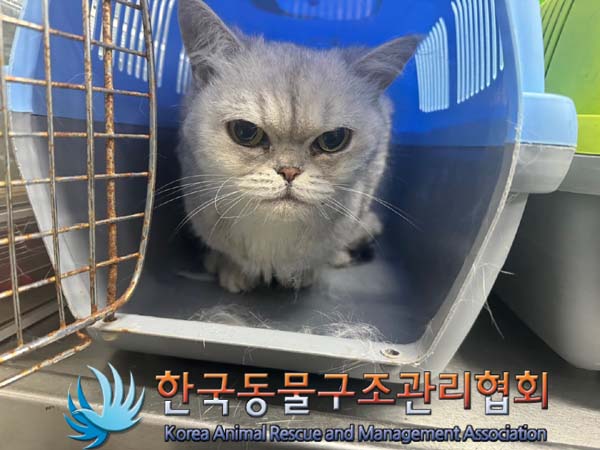 한국동물구조관리협회_441382202400610