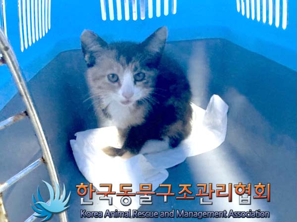 한국동물구조관리협회_441382202400612