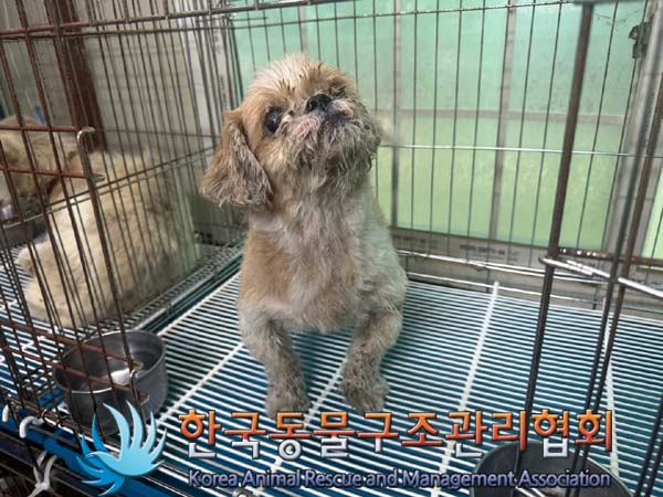 한국동물구조관리협회_441559202400835