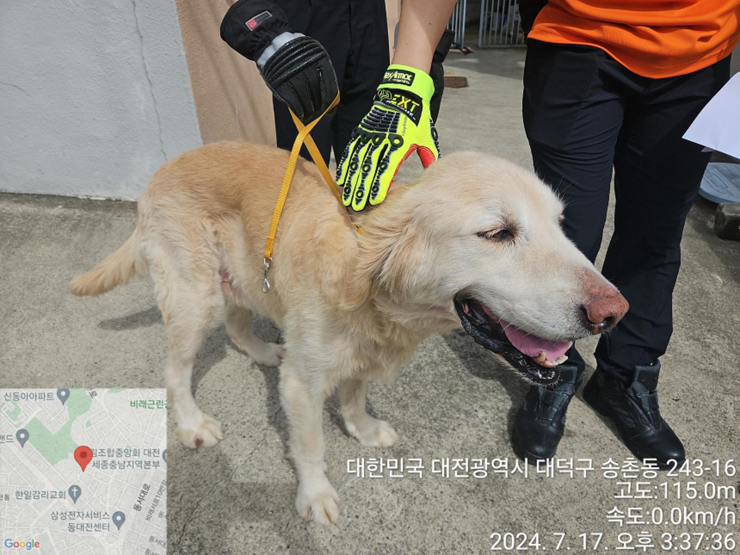 대전동물보호센터_430368202400319