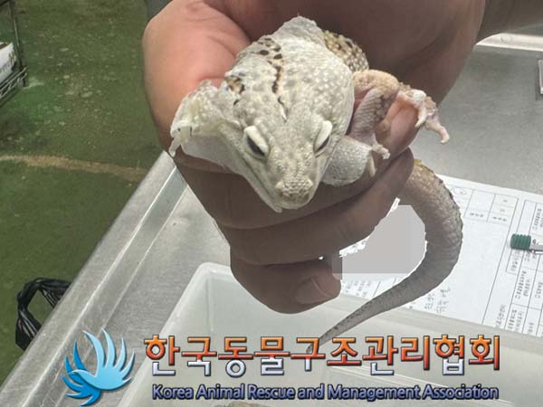 종료(자연사) 도마…