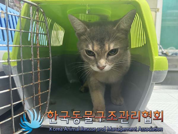 한국동물구조관리협회_441382202400611