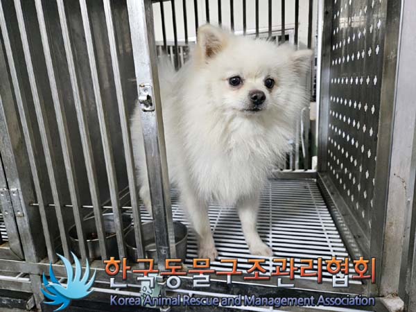 한국동물구조관리협회_441382202400609