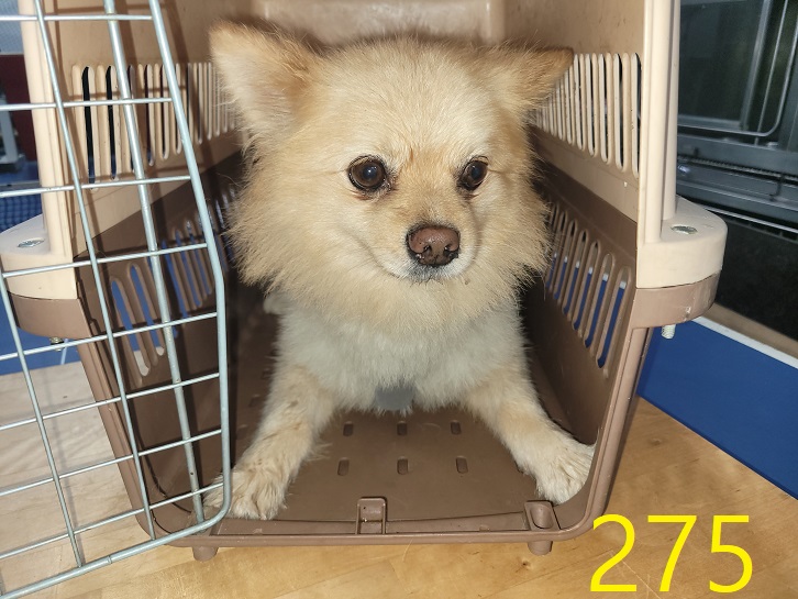 신영재동물병원_428355202400471