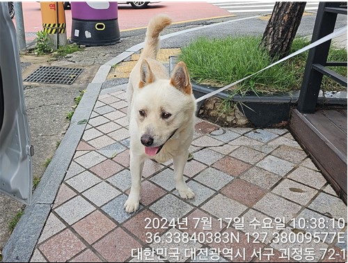 대전동물보호센터_430366202400359