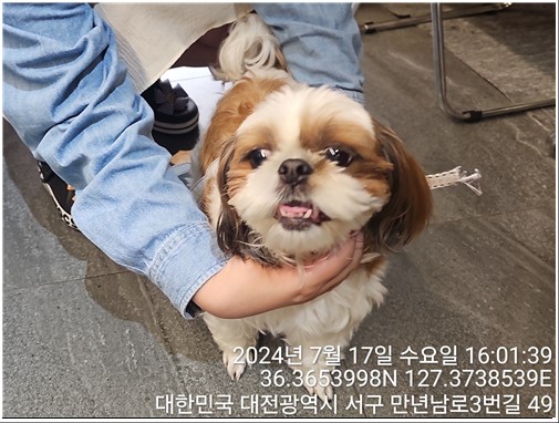 종료(반환) 시츄의…